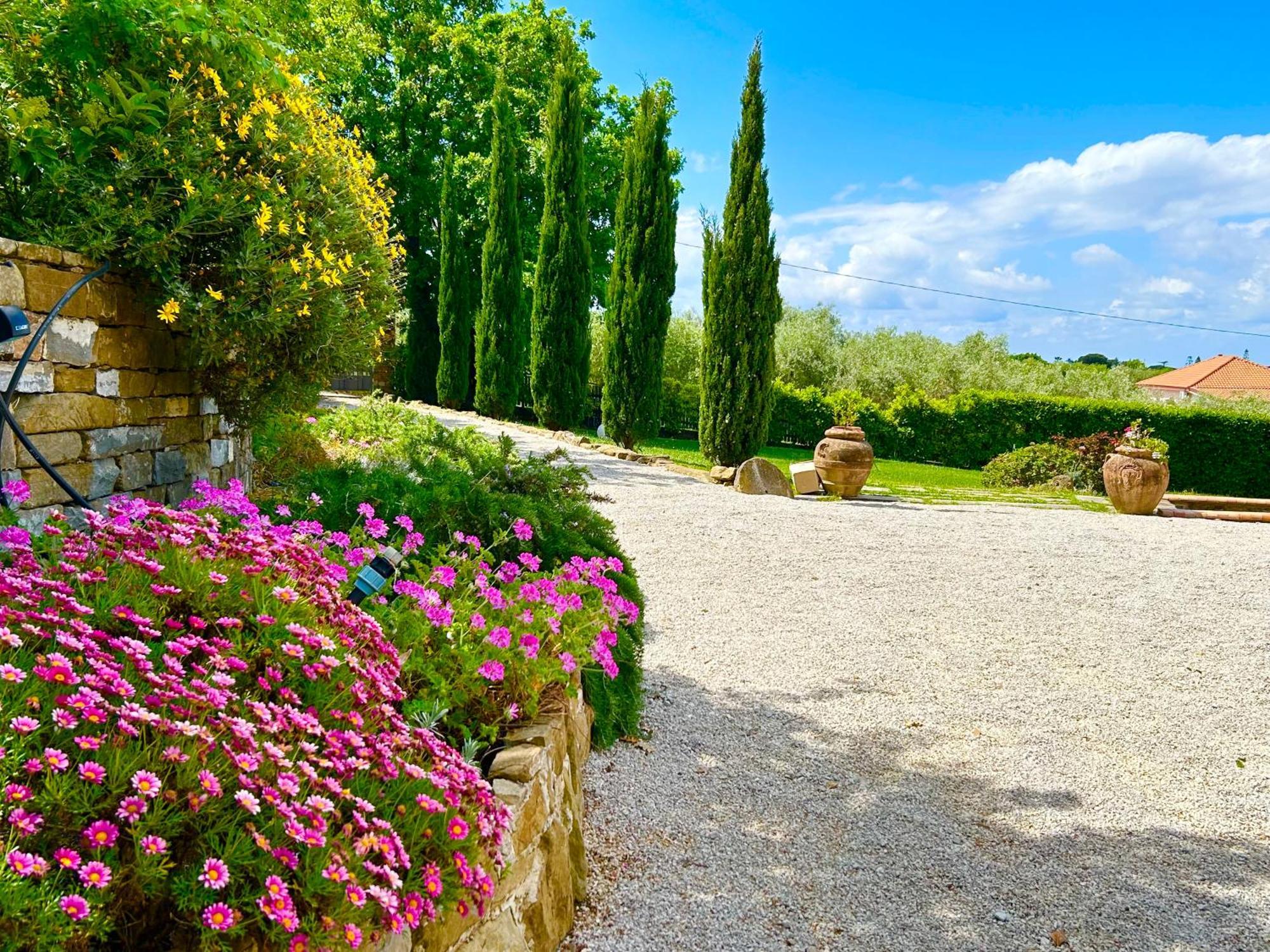 Casale Il Sauco Vila Santa Maria di Castellabate Quarto foto
